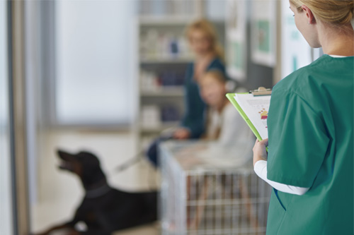 A veterinary nurse with a clip board calling clients into an appointment. 