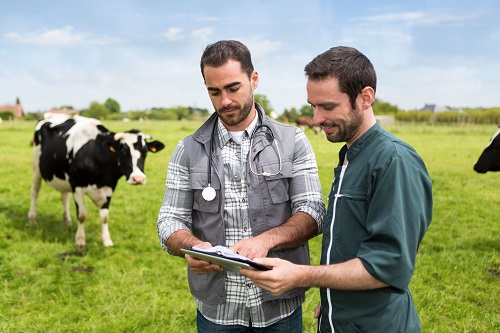 A veterinary nurse with a clip board calling clients into an appointment. 